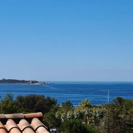 Lejlighed Giedes Pour 4 Personnes Avec Vue Face A Porquerolles Et Piscine Situe A Giens Hyères